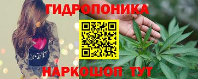 гашик Нальчик