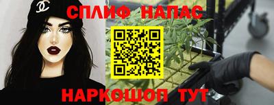 гашик Нальчик