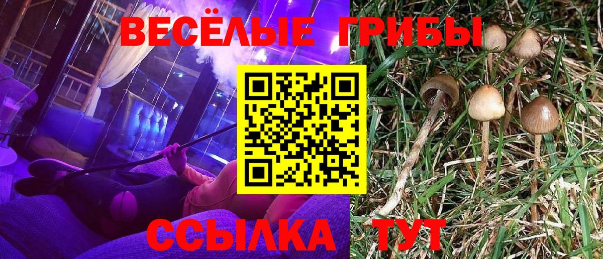 Десногорск  Галлюциногенные грибы GOLDEN TEACHER  Вход с VPN 