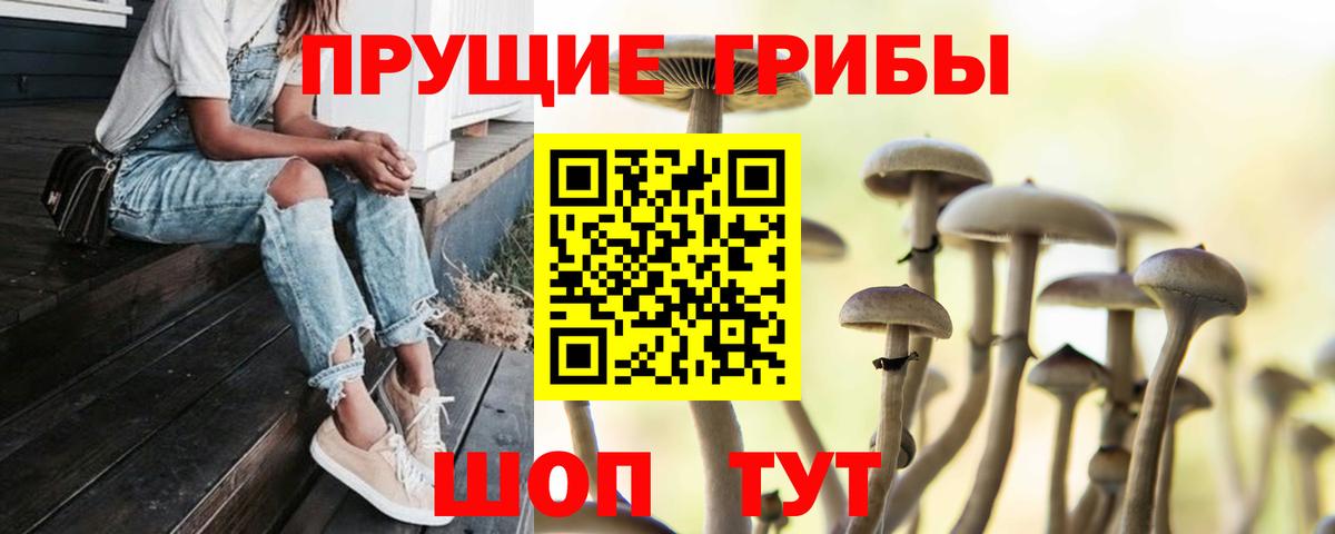 Псилоцибиновые грибы прущие грибы Десногорск